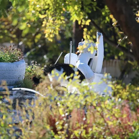 Kassandra Garden Istro