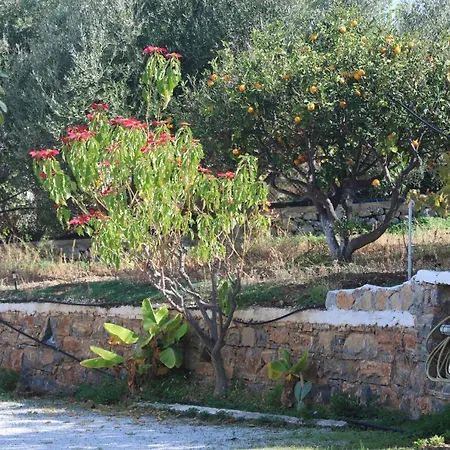 Apartment Kassandra Garden *