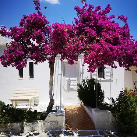 Kassandra Garden Apartment *