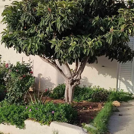 דירה Kassandra Garden *